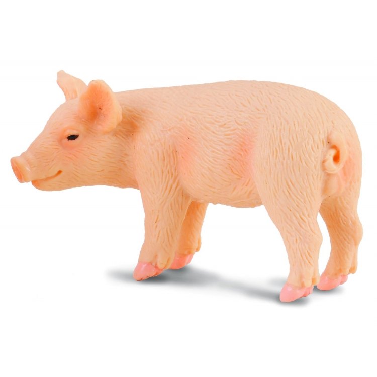 《 COLLECTA 》英國 Procon 動物模型 小豬(站)