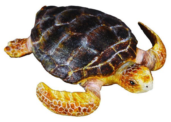 COLLECTA 赤蠵龜