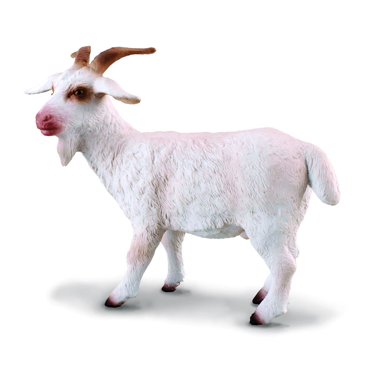 《 COLLECTA 》英國 Procon 動物模型 公山羊