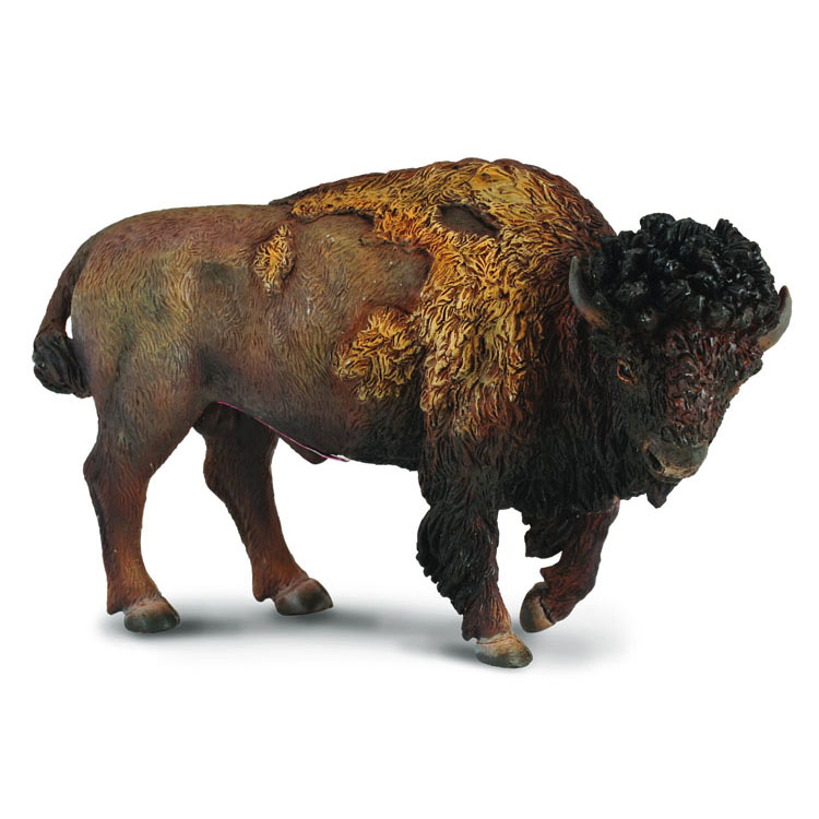 《 COLLECTA 》英國 Procon 動物模型 美洲野牛