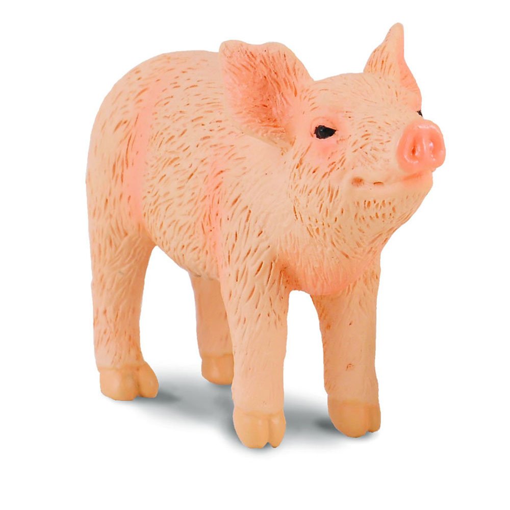 《 COLLECTA 》英國 Procon 動物模型 小豬(嗅)