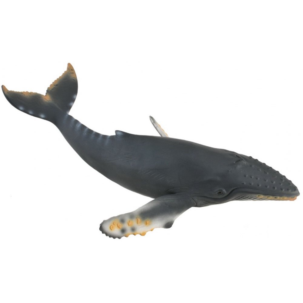 《 COLLECTA 》英國 Procon 動物模型 座頭鯨