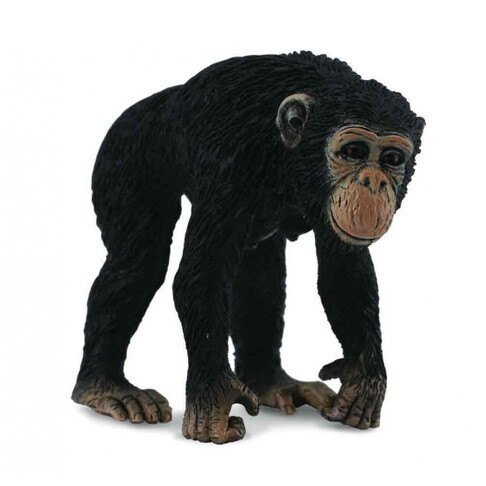 《 COLLECTA 》英國 Procon 動物模型 母黑猩猩