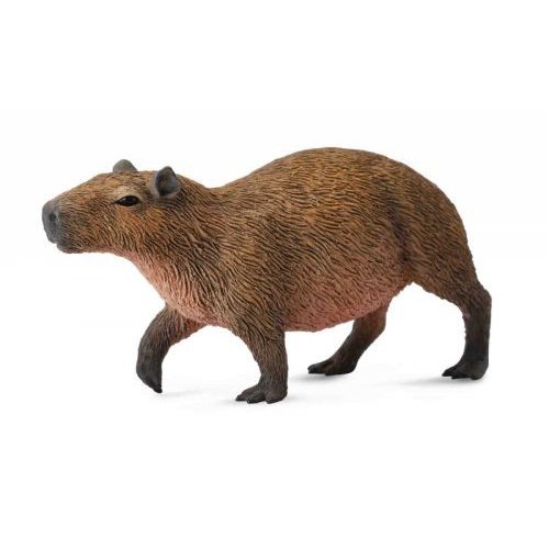 《 COLLECTA 》英國 Procon 動物模型 水豚