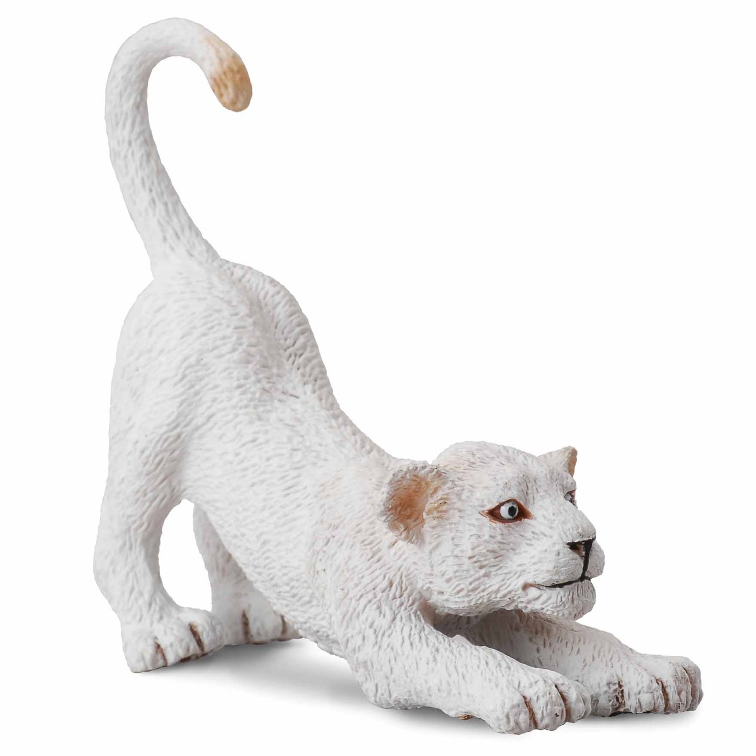《 COLLECTA 》英國 Procon 動物模型 幼白獅(伸腰)