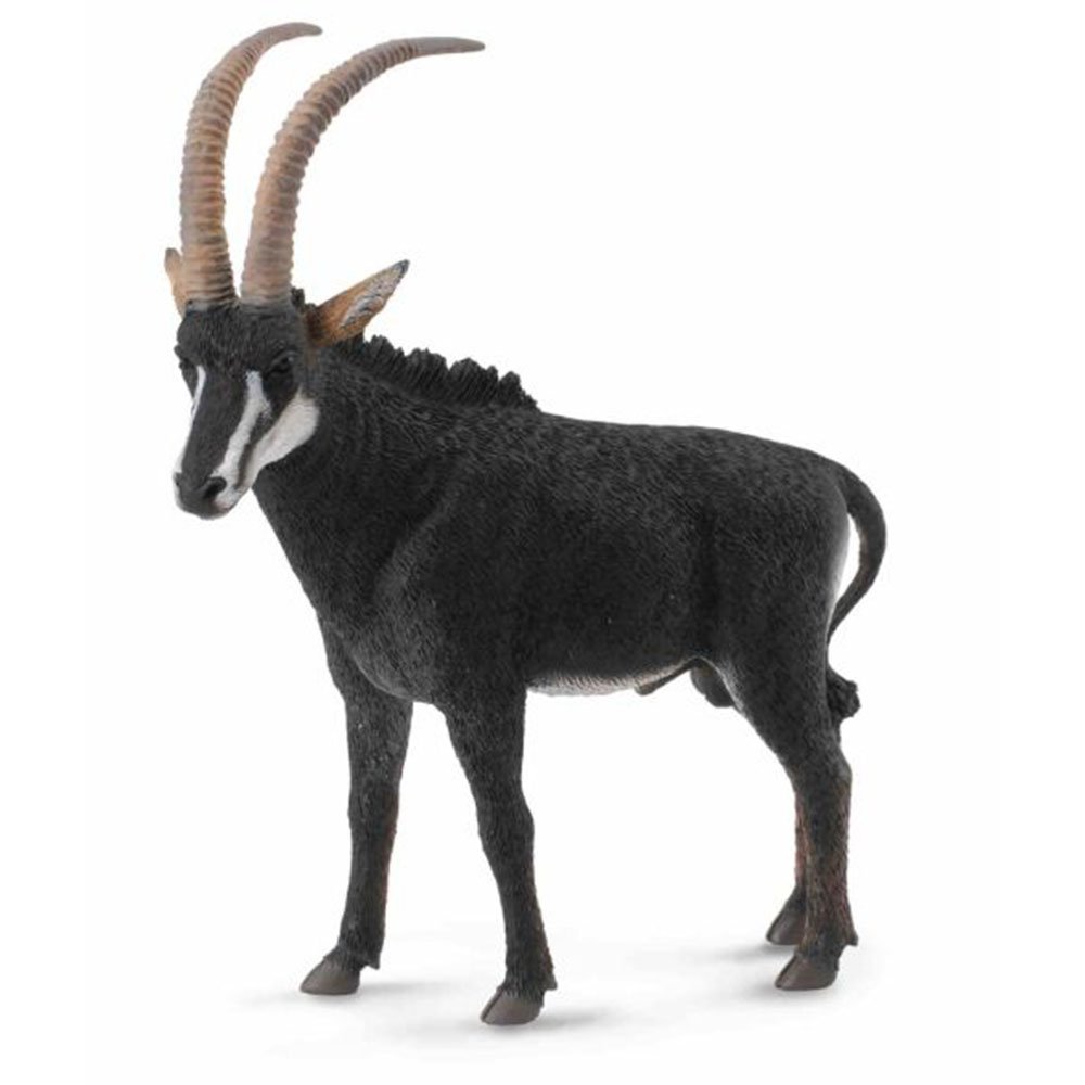 《 COLLECTA 》英國 Procon 動物模型 羅馬羚羊(雄)