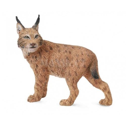 《 COLLECTA 》英國 Procon 動物模型 山貓