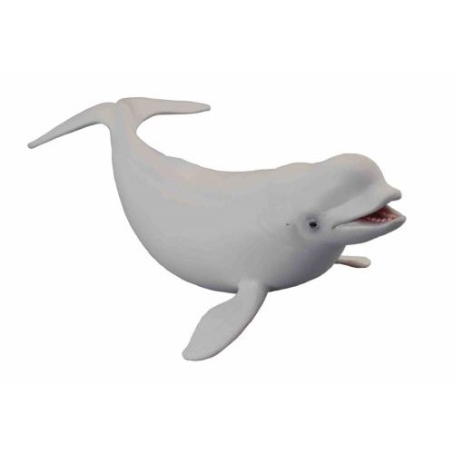 《 COLLECTA 》英國 Procon 動物模型 白鯨