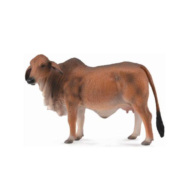 《 COLLECTA 》英國 Procon 動物模型 紅色婆羅門母牛