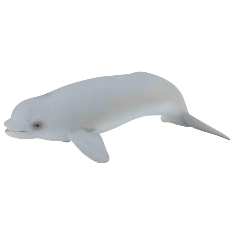 《 COLLECTA 》英國 Procon 動物模型 幼白鯨