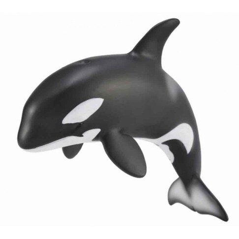 《 COLLECTA 》英國 Procon 動物模型 幼殺人鯨