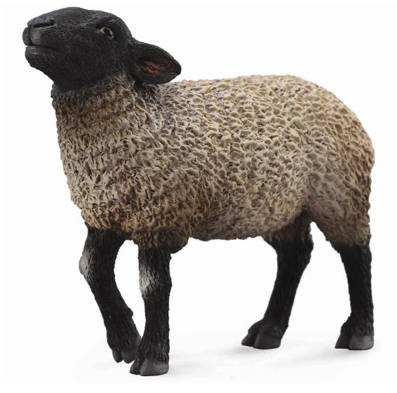 《 COLLECTA 》英國 Procon 動物模型 黑臉羊