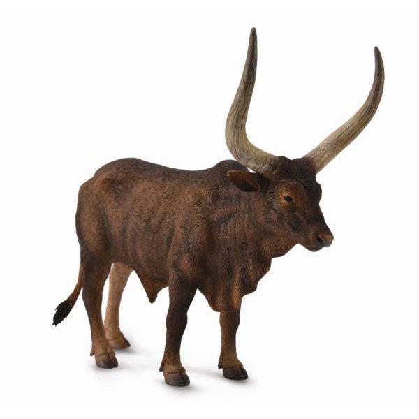 《 COLLECTA 》英國 Procon 動物模型 人角公牛