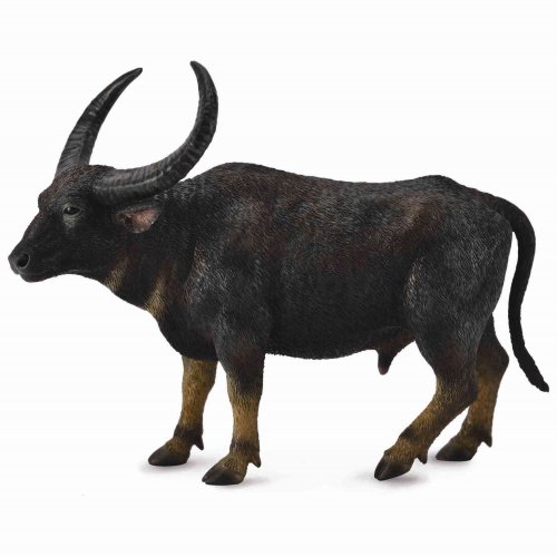 《 COLLECTA 》英國 Procon 動物模型 野生水牛