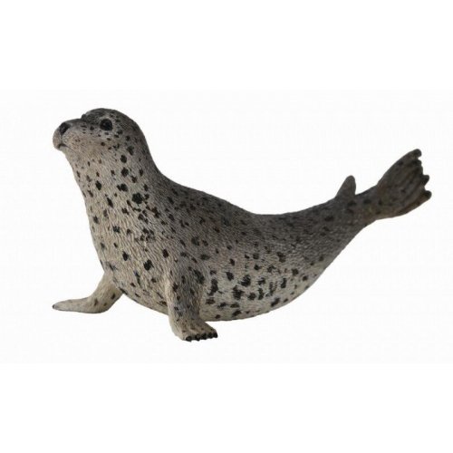 《 COLLECTA 》英國 Procon 動物模型 斑紋海豹