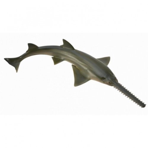 《 COLLECTA 》英國 Procon 動物模型 鋸鲨