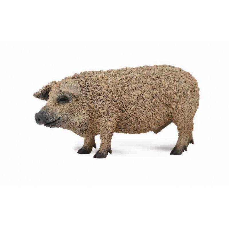 《 COLLECTA 》英國 Procon 動物模型 匈牙利豬