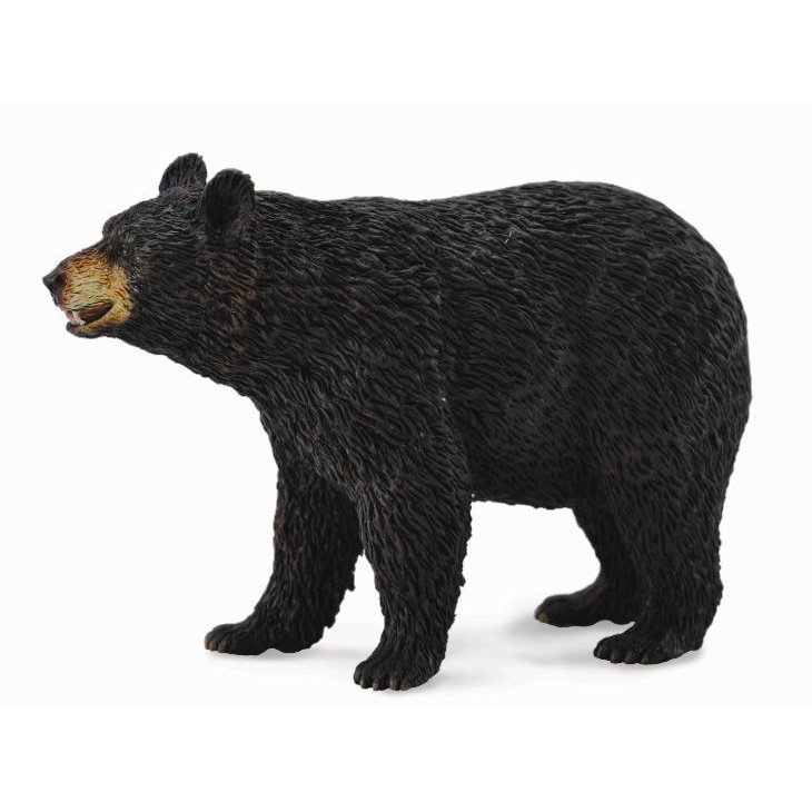 《 COLLECTA 》英國 Procon 動物模型 美洲黑熊