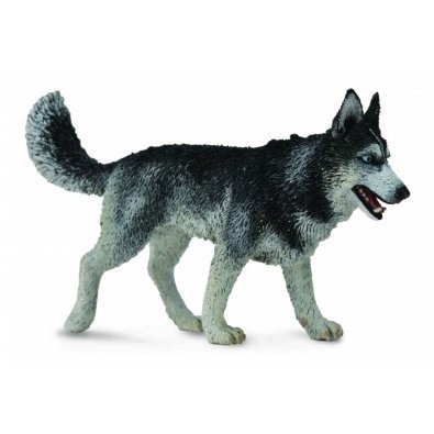 《 COLLECTA 》動物模型 西伯利亞雪橇犬