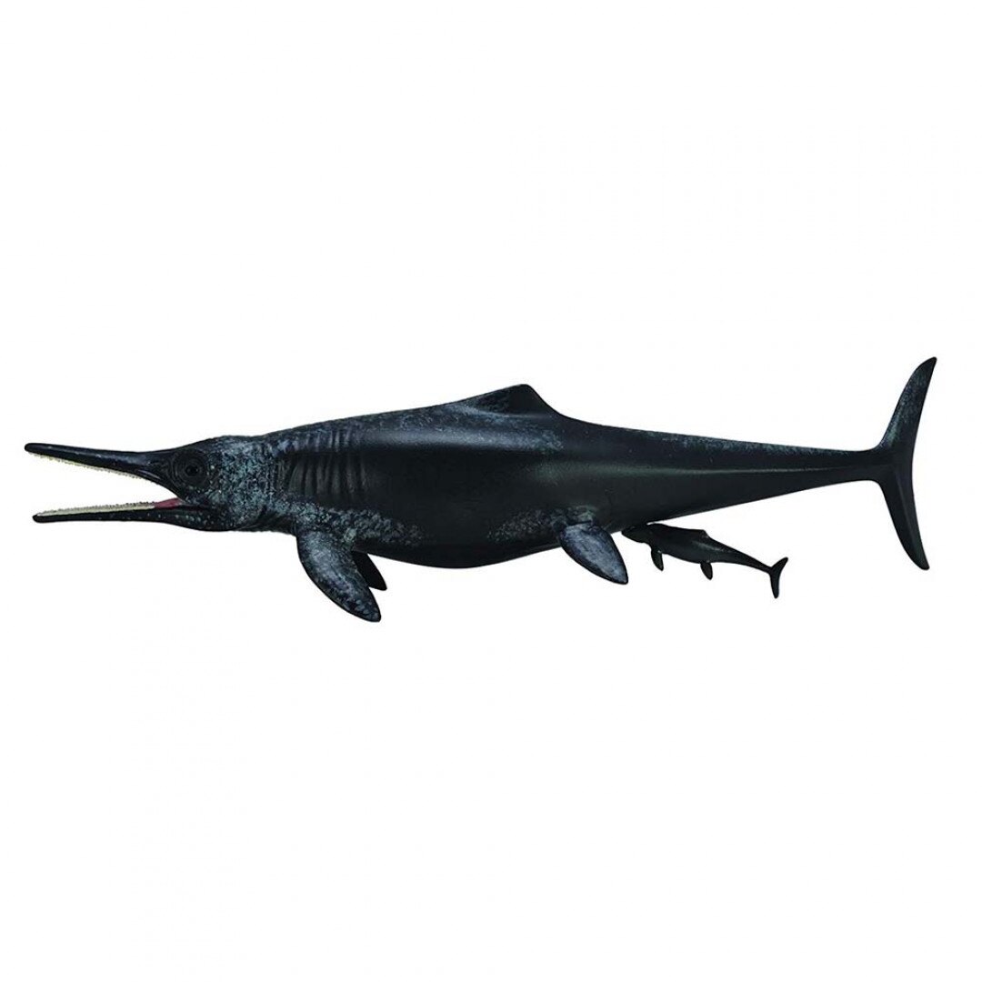 《 COLLECTA 》英國 Procon 動物模型 泰曼魚龍