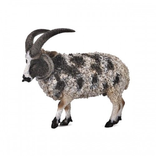 《 COLLECTA 》動物模型 四角羊(雄性)