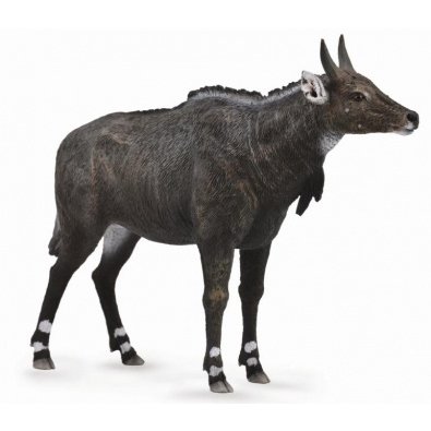 《 COLLECTA 》英國 Procon 動物模型 藍牛羚