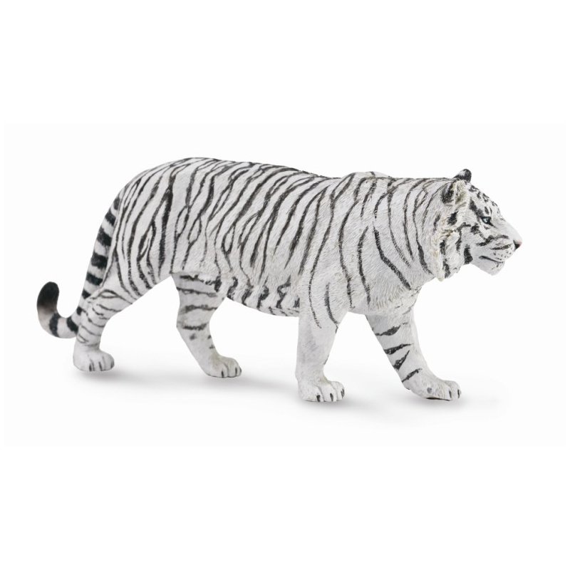 《 COLLECTA 》英國 Procon 動物模型 東北白老虎