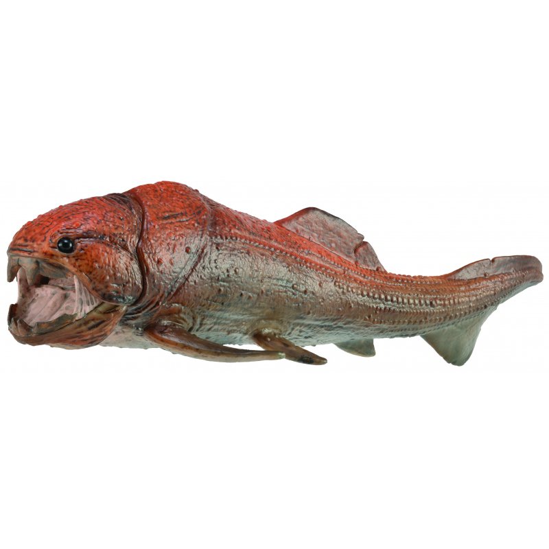 《 COLLECTA 》英國 Procon 動物模型 鄧氏魚