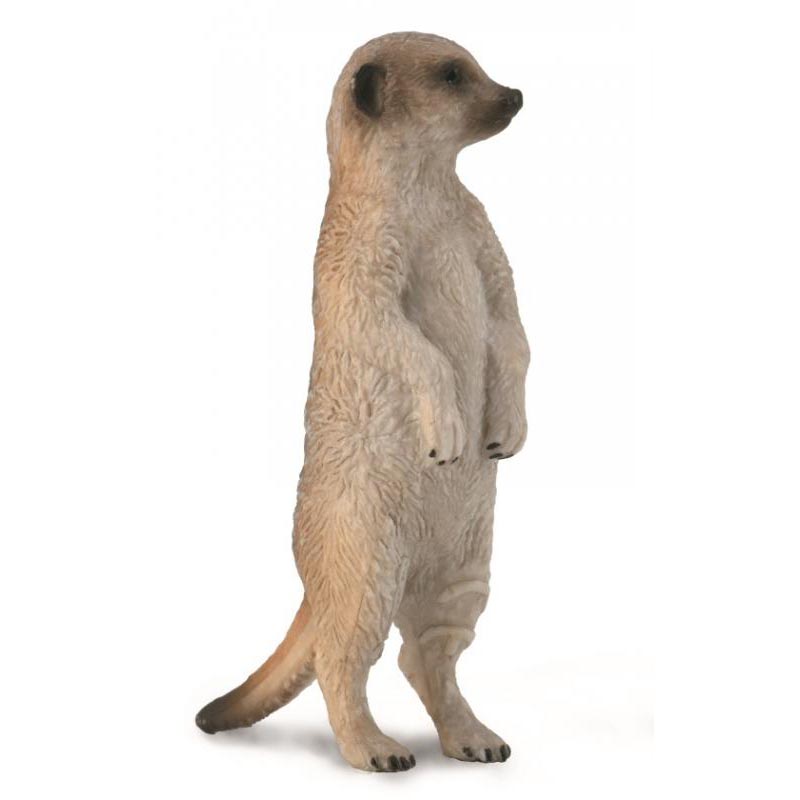 《 COLLECTA 》英國 Procon 動物模型 狐蒙(站立)