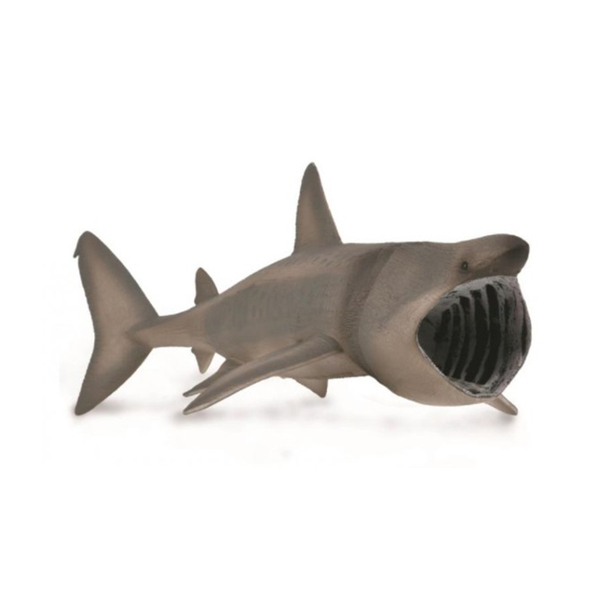 《 COLLECTA 》英國 Procon 動物模型 姥鯊(象鯊)