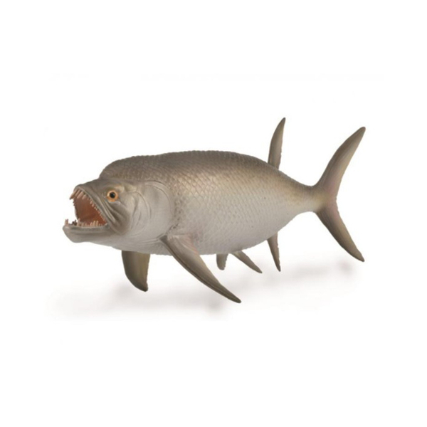 《 COLLECTA 》英國 Procon 動物模型 劍射魚(1:40)