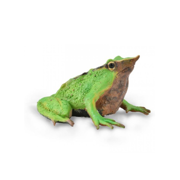 《 COLLECTA 》英國 Procon 動物模型 達爾文蛙