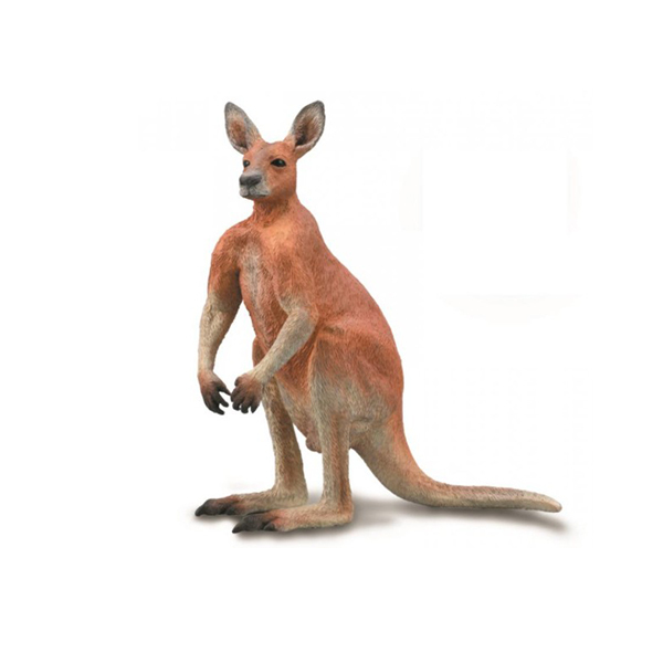 《 COLLECTA 》英國 Procon 動物模型 公紅袋鼠