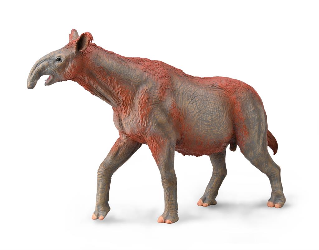 《 COLLECTA 》英國 Procon 動物模型 巨犀