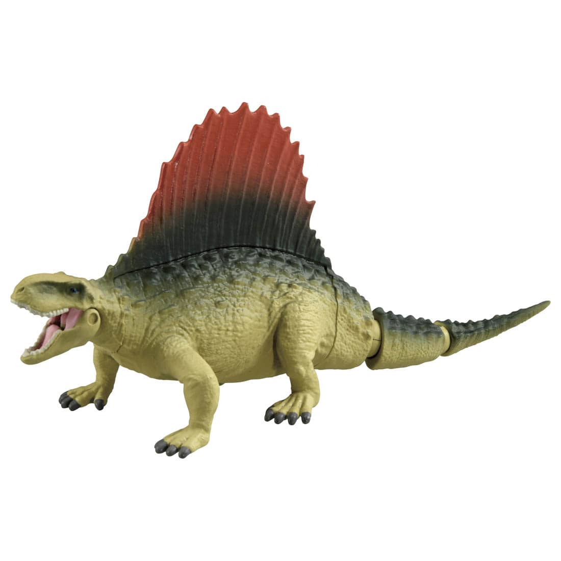 TOMY 動物模型 侏儸紀世界 異齒龍